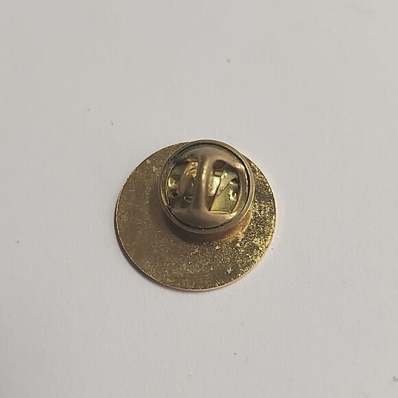 National Audubon Society Blue and Gold Pin - Picture 2 of 2